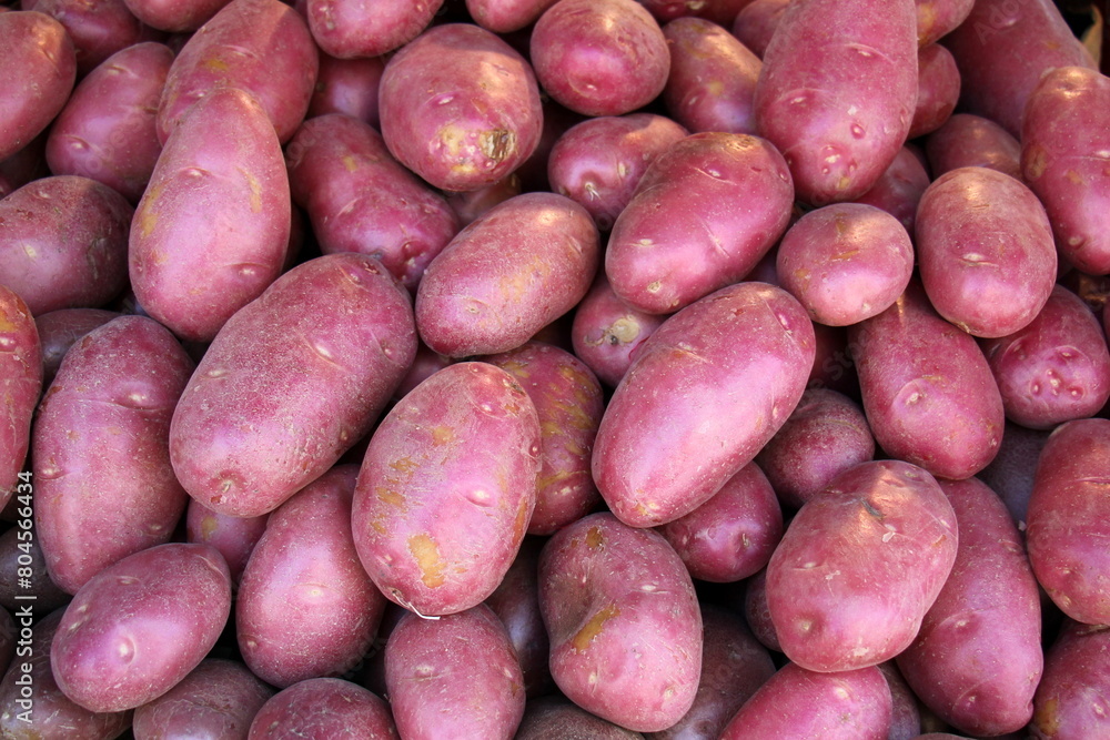 Fruits and vegetables are sold at a bazaar in Israel. Fruits and vegetables are sold at a bazaar in Israel.