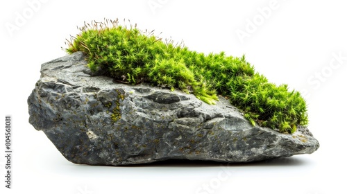 Moss Covered Stone on White Background Generative AI