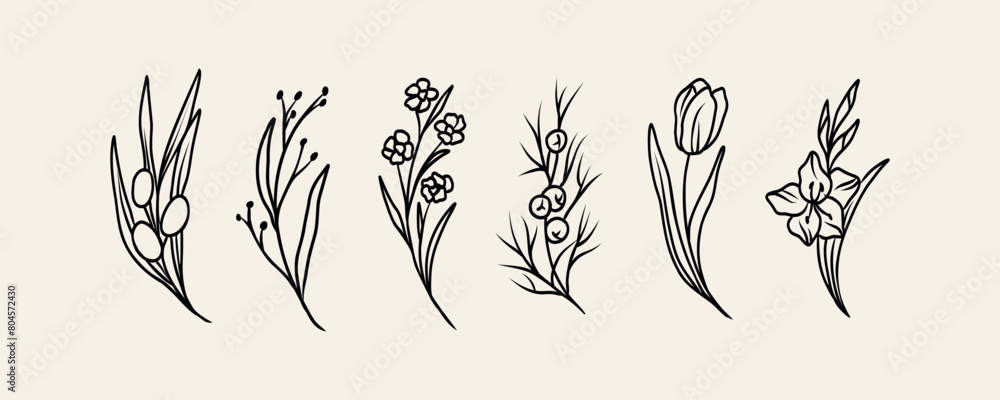 Obraz premium Line art flowers and branches collection