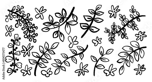 Decorative elements  set of painted branches of leaves and flowers. Doodle design.