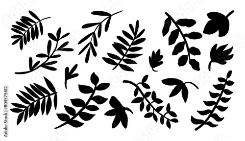 Botanical design elements. Vector doodle decoration elements isolated on white background.