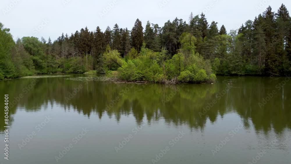 Lake island in the forest. Home for birds. Bavaria. Lake island in the forest. Home for birds. Bavaria.