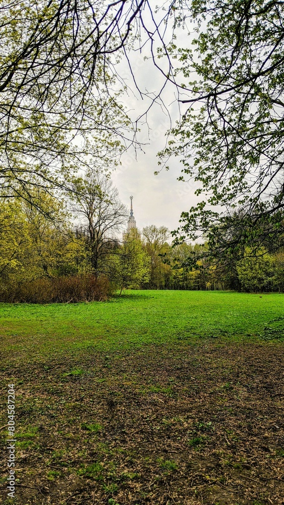 Fototapeta premium path in the park