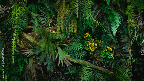 Tableau sur toile Close-up view of a group of tropical green leaves, textured and abstract background