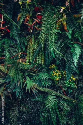 Close-up view of a group of tropical green leaves  textured and abstract background. This natural leafy backdrop embodies a tropical nature concept.