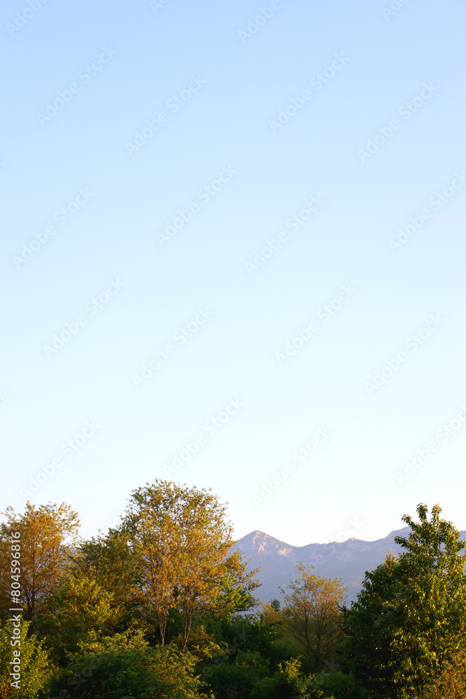 Fototapeta premium Mountain forest, illuminated by warm sunlight.