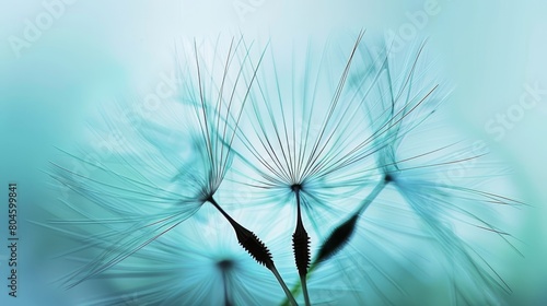   A crisp dandelion against a softly blurred backdrop Blurred dandelion image