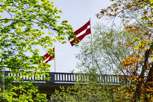 Latvian flags in a sunny day in May shortly before national independence day celebration at the Gauja bridge in Sigulda