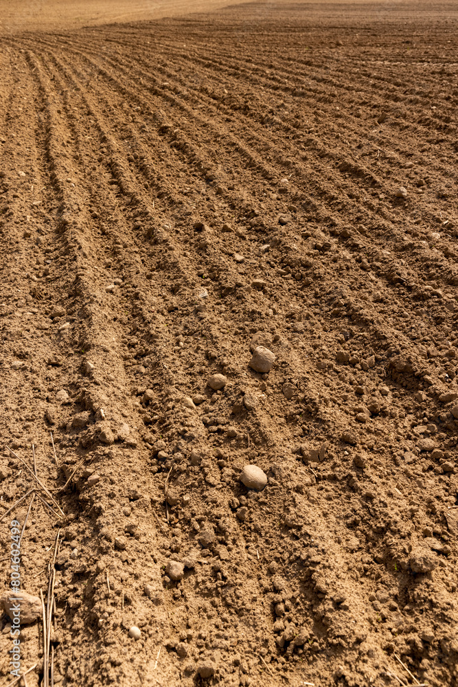 preparing the soil for sowing a new crop of plants preparing the soil for sowing a new crop of plants