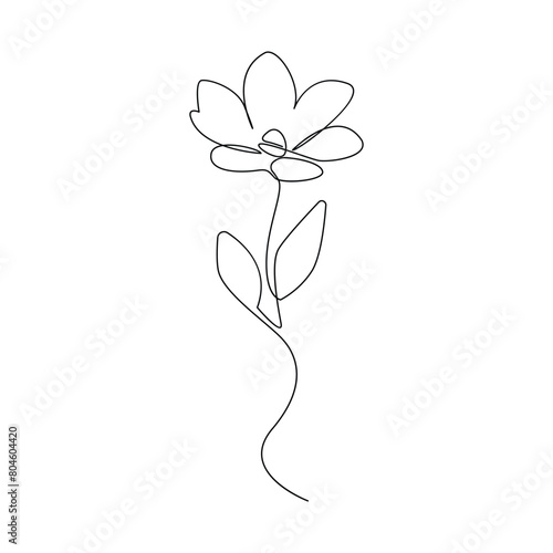 Vector continuous one simple single abstract line drawing of Flower isolated on a white background