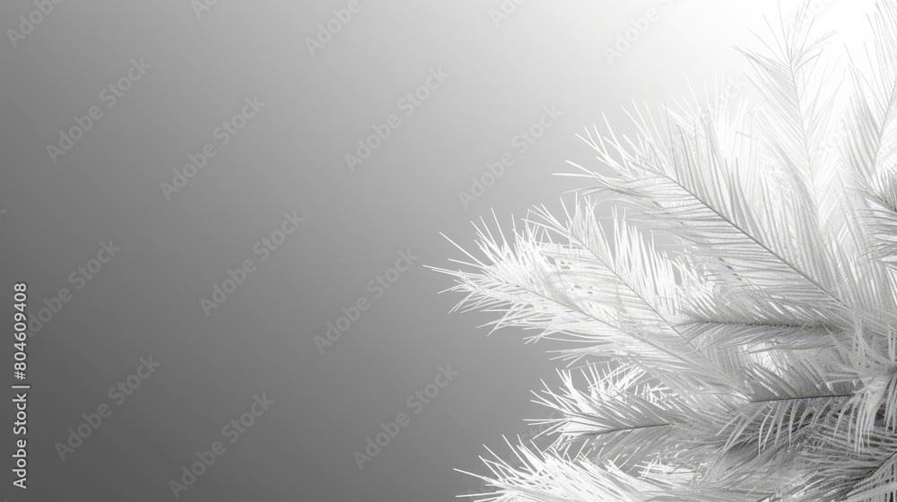 A monochrome image of a frost-covered palm tree against a gray backdrop A monochrome image of a frost-covered palm tree against a gray backdrop