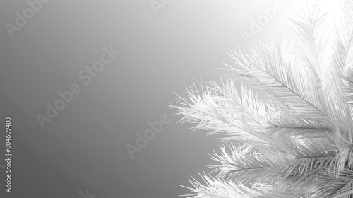   A monochrome image of a frost-covered palm tree against a gray backdrop © Mikus