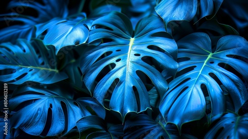  A close-up of a blue plant with a green one in the foreground, both sporting leafy structures