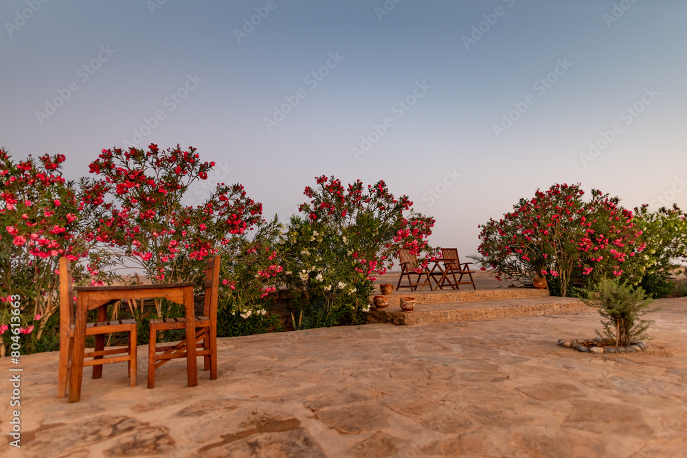 Fototapeta premium private house at the gates of the Sahara desert