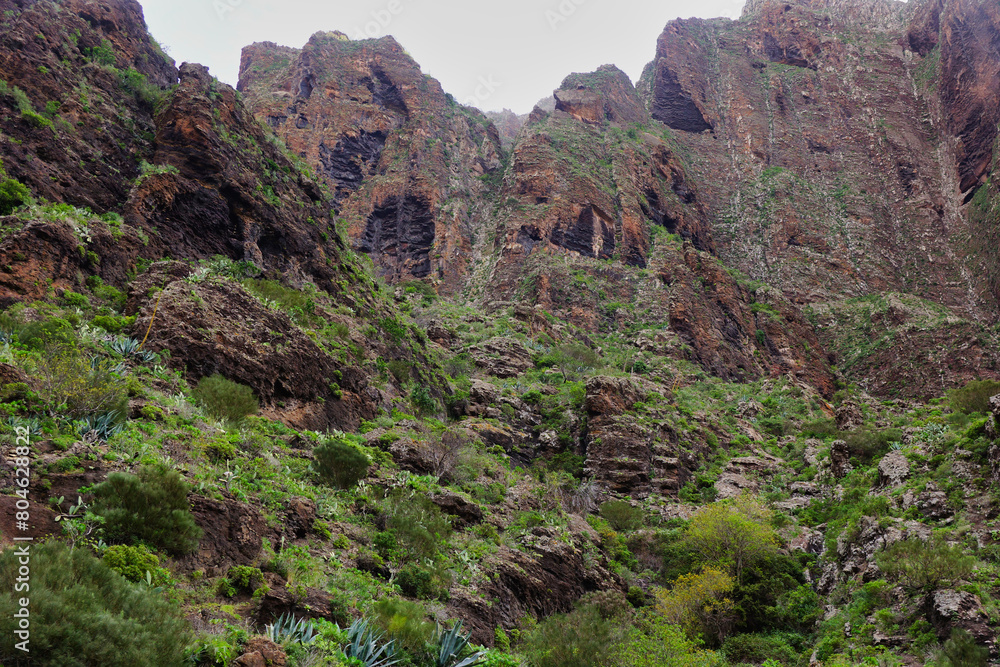 Masca Gorge is a narrow valley in the north-west of the island of Tenerife. Masca Gorge is a narrow valley in the north-west of the island of Tenerife.