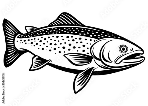 Trout fish vector silhouette illustration on a white background 