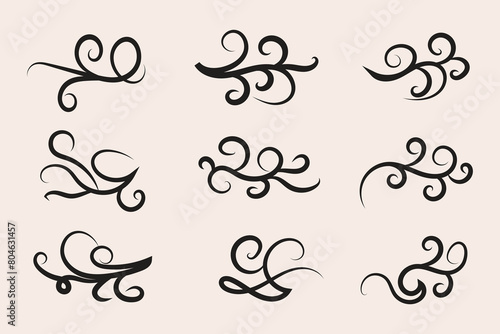 curly Flourishes Swirls scroll design, Vintage Filigree Swirls,calligraphy font style Decorative Elements, Text Ornaments curly thin line swings swashes vector illustration photo