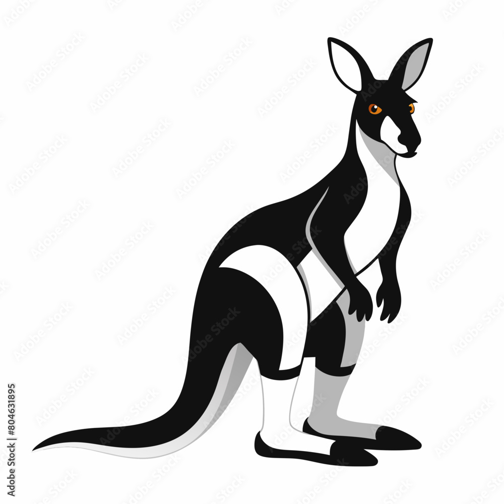 kangaroo-coler-soled-black-and-white-backround