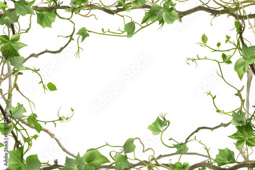 Twisted Vines showcased on a transparent rectangular background