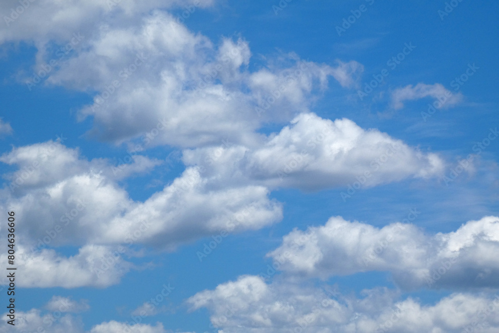 Cielo Cielo