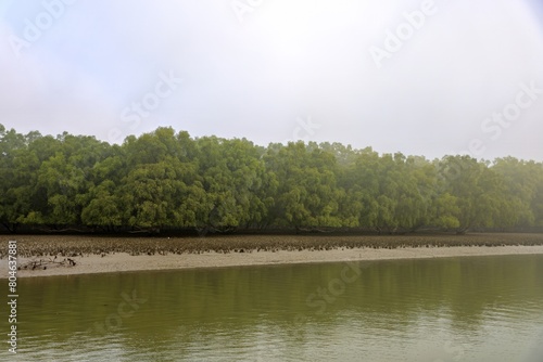 Scene of early winter morning at Sundarbans.this photo was taken from Sundarbans National Park,Bangladesh.