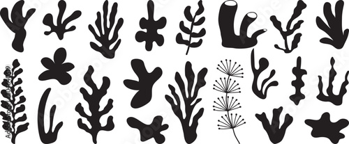 Seaweed silhouettes, coral black icon. Abstract organic shape, underwater plant, matisse element, cute sea doodle. Cartoon marine floral set isolated on white background. Simple vector illustration © Sylfida