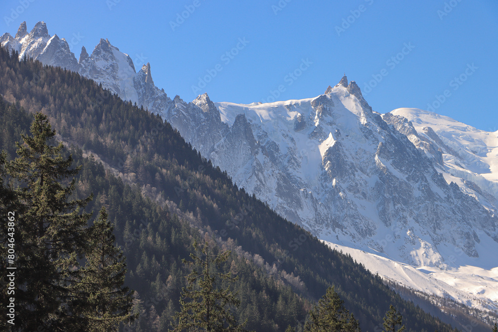 Fototapeta premium Blick vom Talengang bei Argentiere in Richtung Chamonix mit Blick zum Mont Blanc
