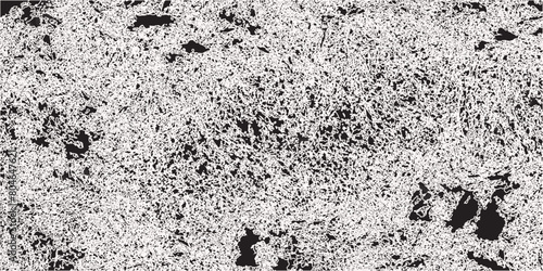 black and white vintage background. Abstract texture background 

