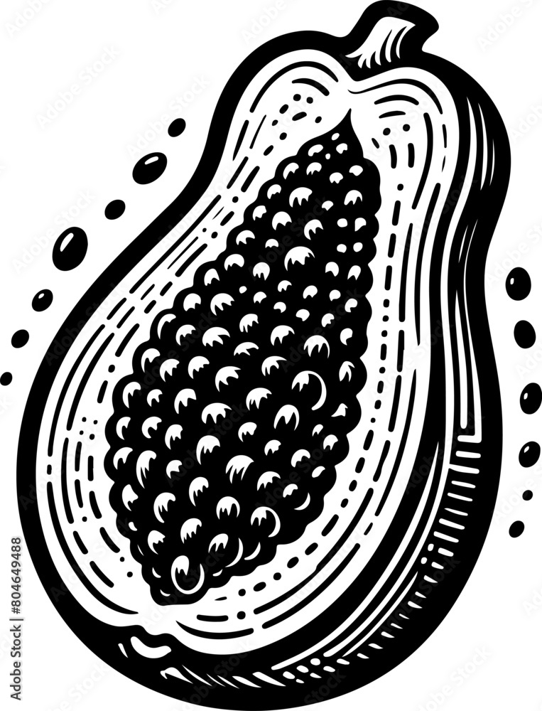 Papaya fruit black outline illustration. Coloring book. Papaya fruit black outline illustration. Coloring book.