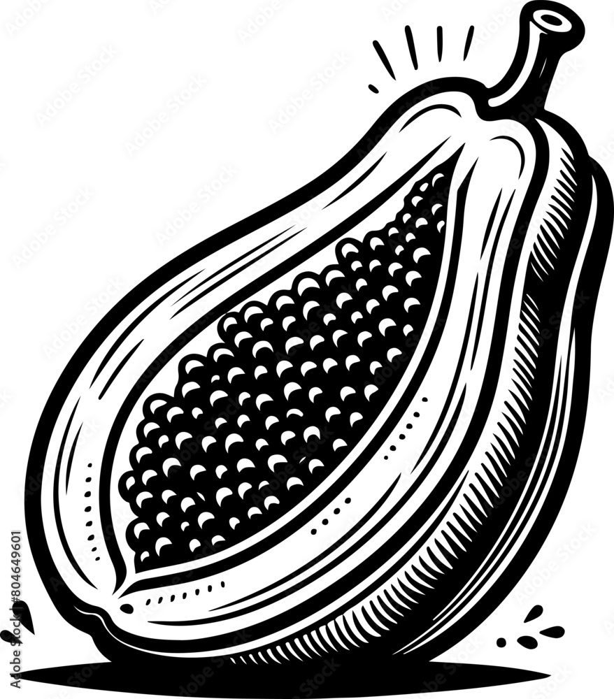Fototapeta premium Papaya fruit black outline illustration. Coloring book.