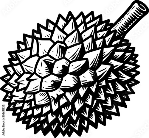Durian fruit black outline illustration. Coloring book.