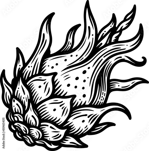 Dragon fruit pitaya black outline illustration. Coloring book.