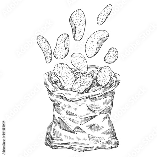 Opened package of potato chips isolated on white background. Sketch style black and white chips flying out of packaging