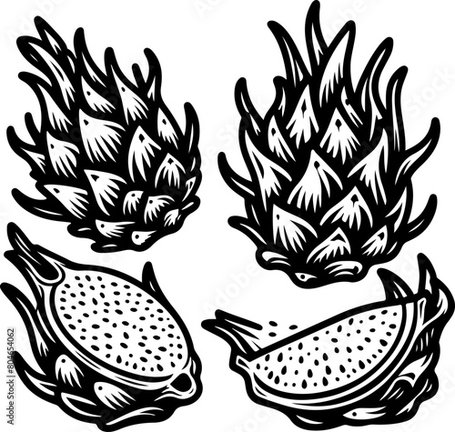 Dragon fruit pitaya black outline illustration. Coloring book.
