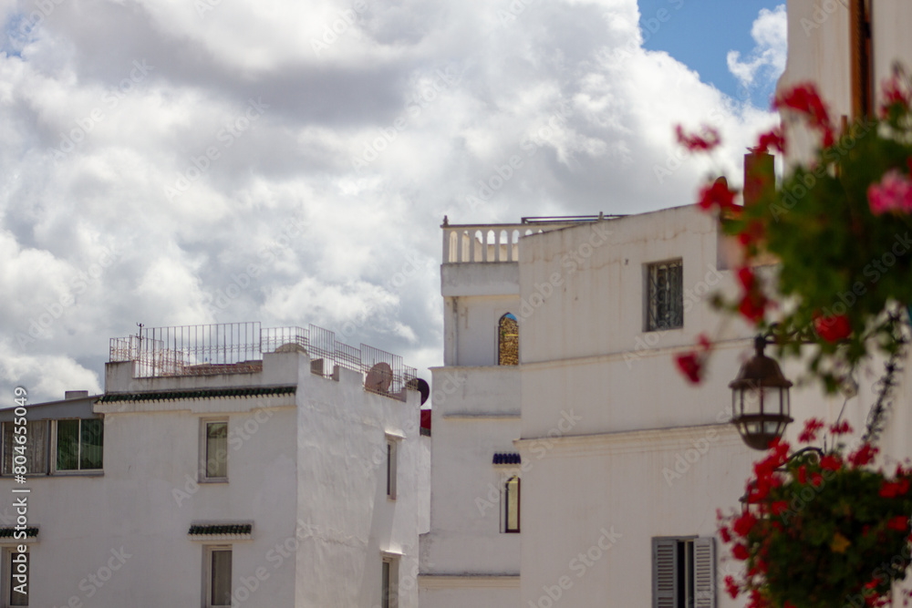 Medina Tangier White houses in the Kasbah