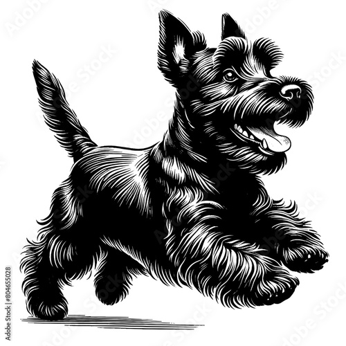Cute Scottish Terrier dog in full-body, hand drawn sketch. Vector isolated on white background	