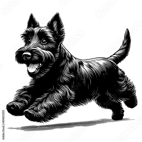 Cute Scottish Terrier dog in full-body, hand drawn sketch. Vector isolated on white background	