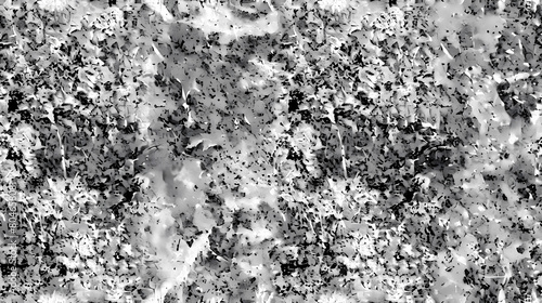 Monochrome Granite Texture photo