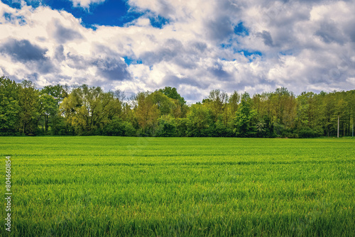 Paysage de la campagne française au printemps