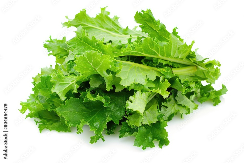 Obraz premium Organic Mizuna Lettuce - Isolated Mustard Vegetable Salad for Healthy Food Concept