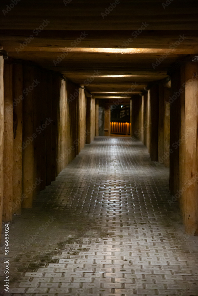 WIELICZKA, POLAND - JUNE 30: Interior view Wieliczka salt mine with textured salt walls ceiling WIELICZKA, POLAND - JUNE 30: Interior view Wieliczka salt mine with textured salt walls ceiling