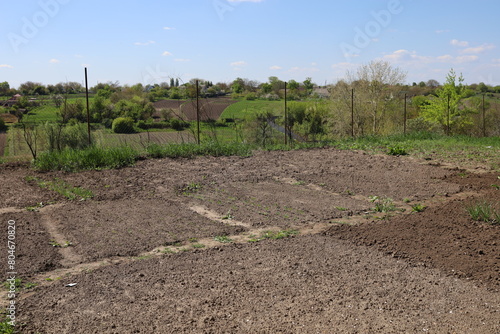 A village garden set against the backdrop of rural landscape