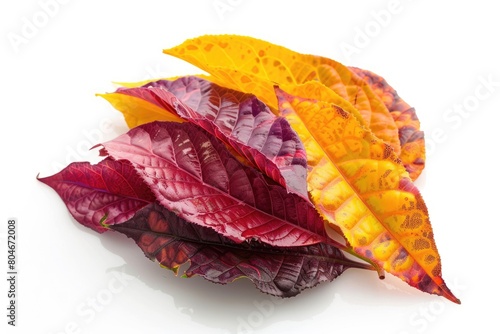 Crotons Isolated on White Background. Savory Snack Food for All Occasions photo