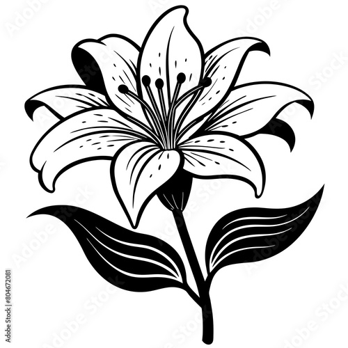 lily flower with part of tree vector, unique ,simple