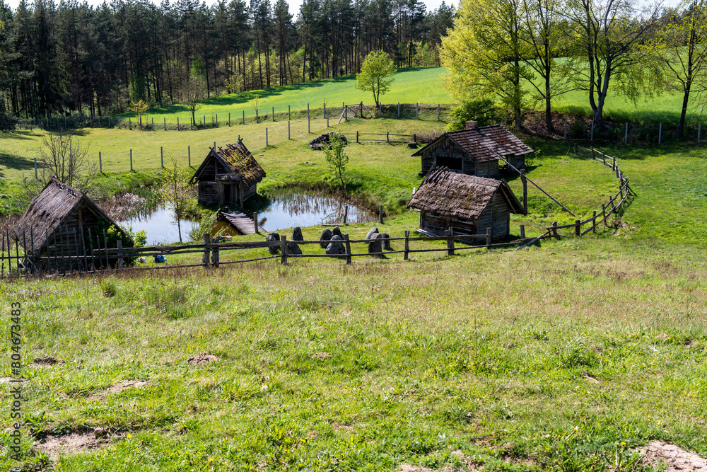 landscape with cows