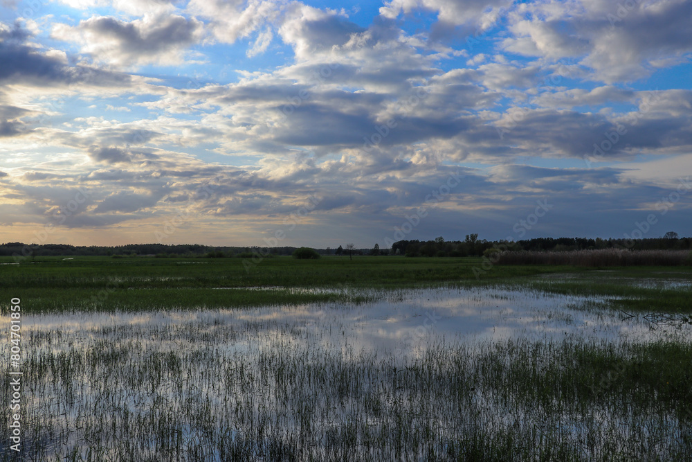 Backwaters of the Omulew River at dusk, Masovian Voivodeship, Poland