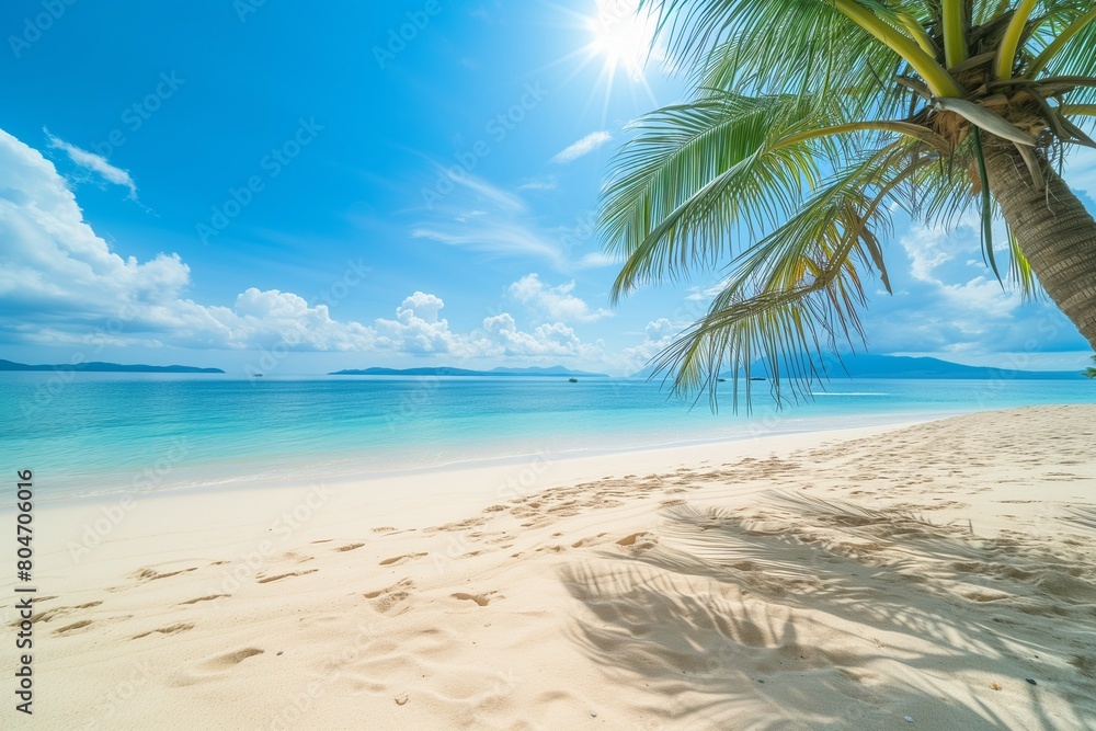Sunny beach with palm tree. Tropical summer holiday concept.