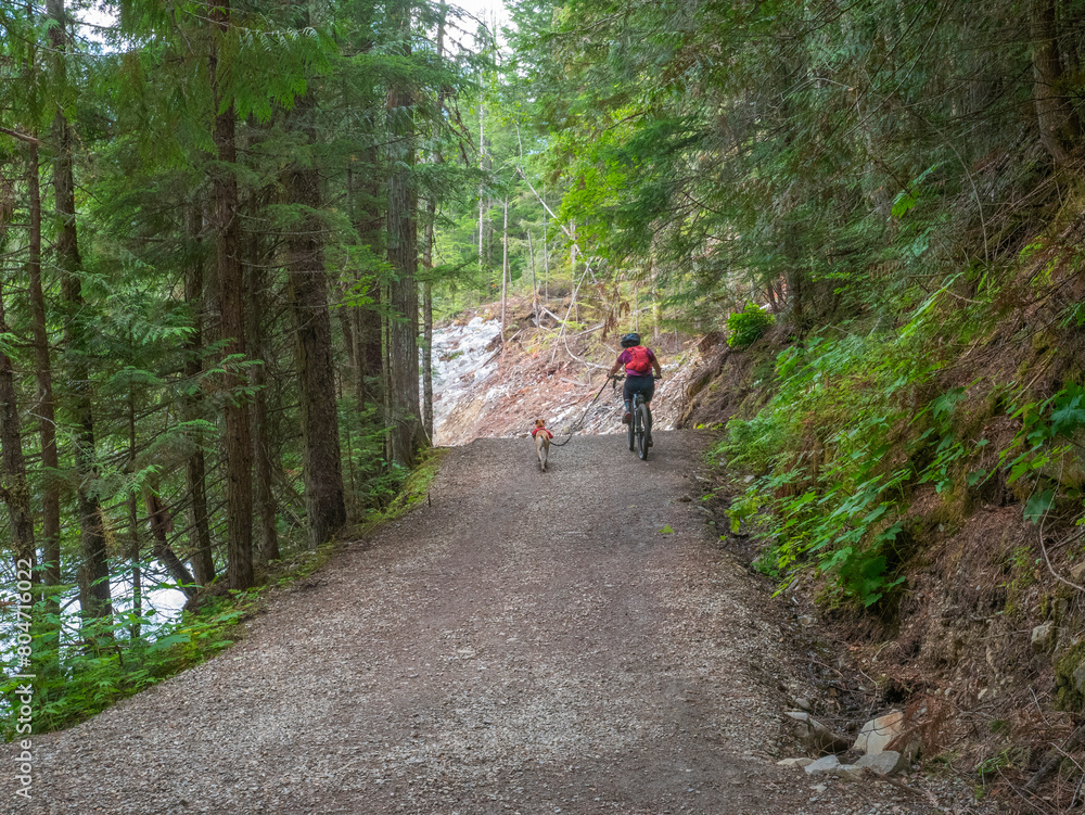 Enjoying Outdoors on Kinney Lake Trail - Mount Robson Provincial Park