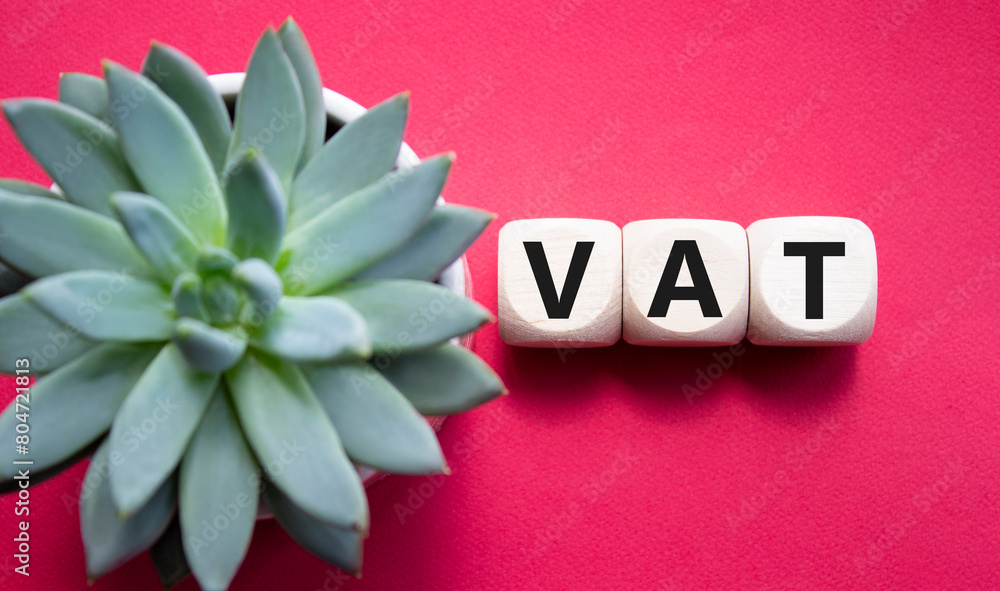Fototapeta VAT - Value Added Tax symbol. Wooden cubes with word VAT. Beautiful red background with succulent plant. Business and Value Added Tax concept. Copy space.
