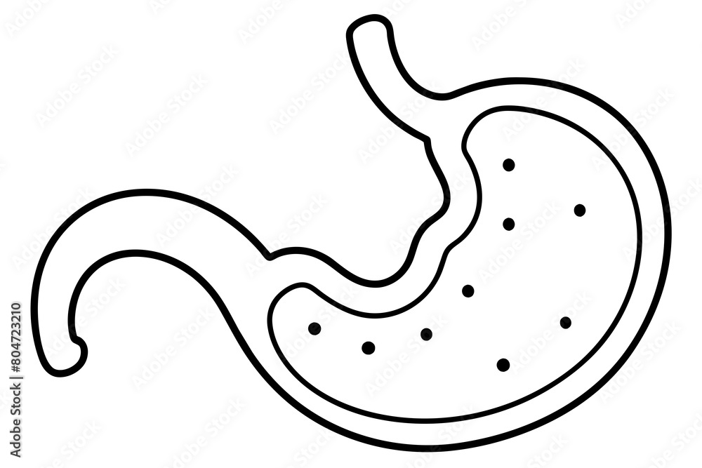 stomach silhouette illustration stomach silhouette illustration
